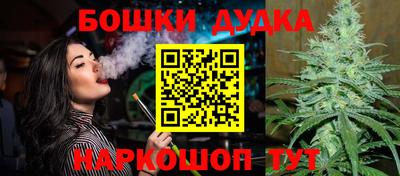 сатива Коммунар